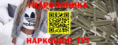 индика Анжеро-Судженск