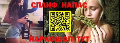 индика Анжеро-Судженск