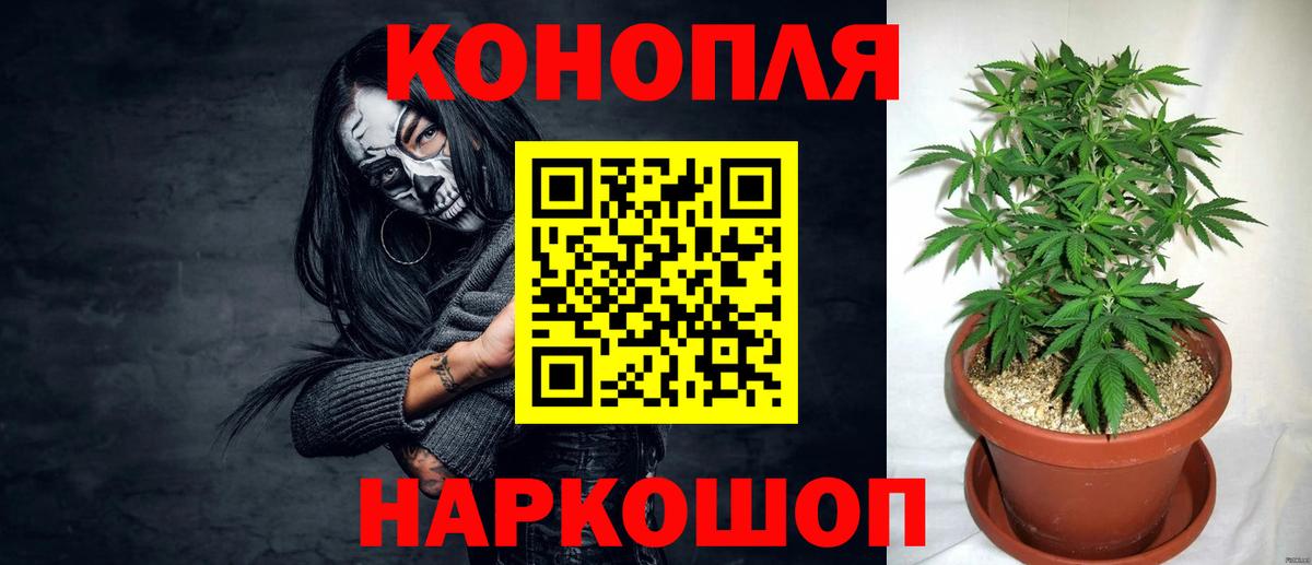 Кострома  Каннабис сатива  Бошки марихуана семена  Вход с VPN  МАРИХУАНА OG Kush 
